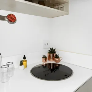 Tiny container house with custom cabinetry and breakfast bar
